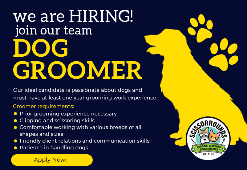 Join Our Team Dog Groomer